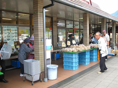 20091012_aj01.jpg