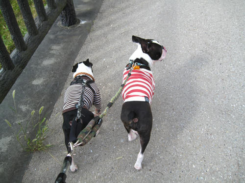 20091012_aj08.jpg