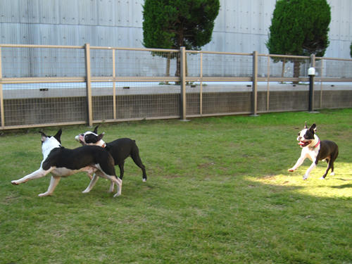 20091018_tc02.jpg