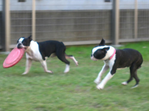 20091018_tc03.jpg
