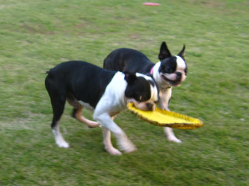20091018_tc04.jpg