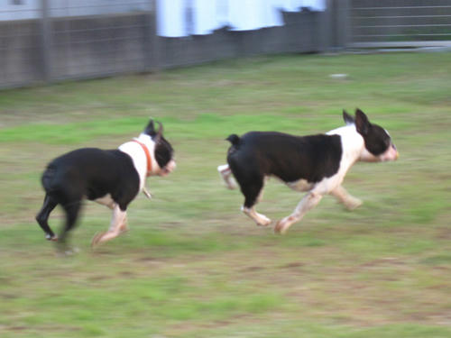 20091018_tc07.jpg