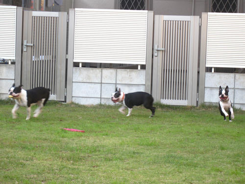 20091018_tc08.jpg