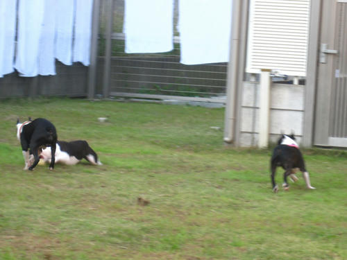 20091018_tc11.jpg