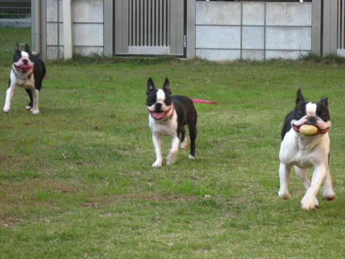 20091018_tc14.jpg