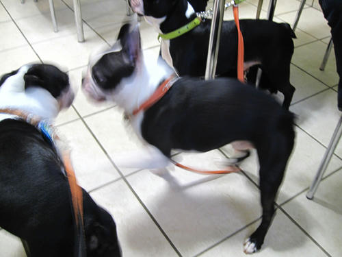 20091018_tc15.jpg