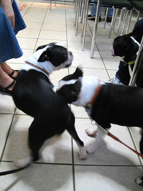 20091018_tc17.jpg