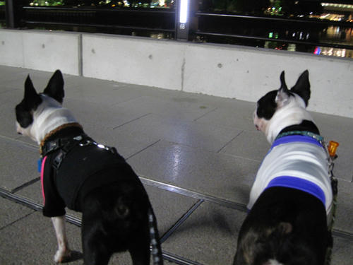 20091021_sanpo03.jpg