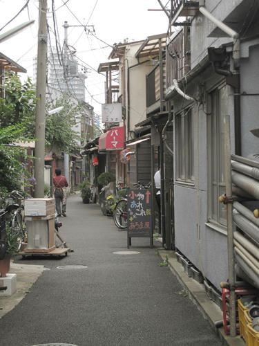 20091024_yanesen70.jpg