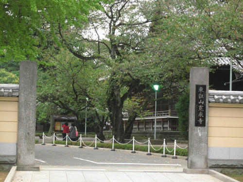 20091024_yanesen53.jpg