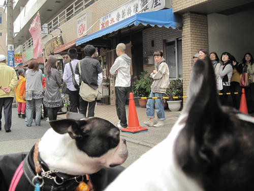 20091024_yanesen36.jpg