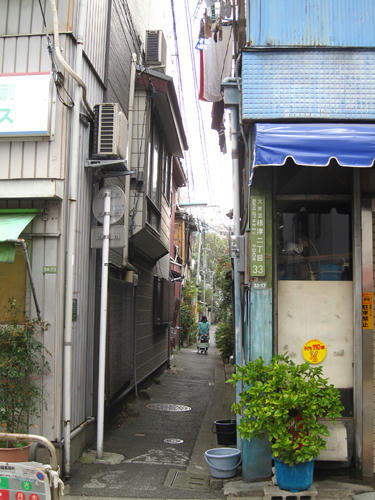 20091024_yanesen19.jpg