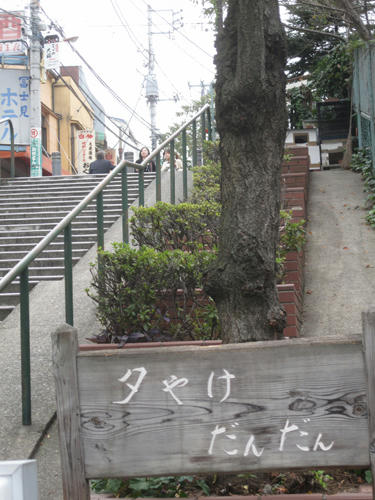20091024_yanesen10.jpg