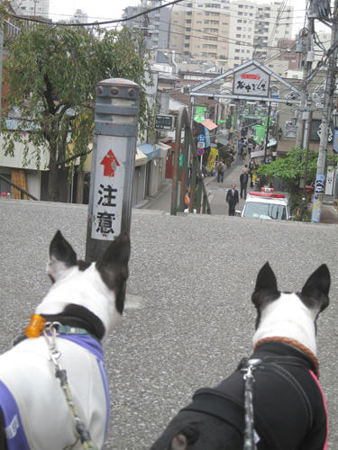 20091024_yanesen08.jpg