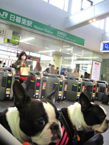 20091024_yanesen05.jpg