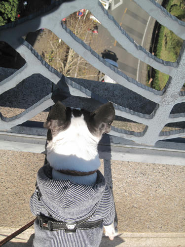 20091103_nanasawa04.jpg