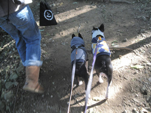 20091103_nanasawa07.jpg
