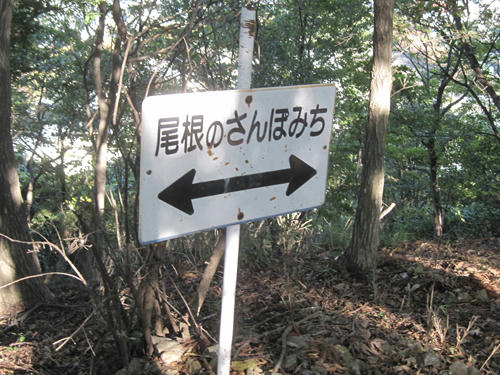 20091103_nanasawa08.jpg