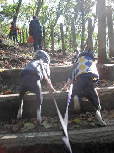 20091103_nanasawa09.jpg