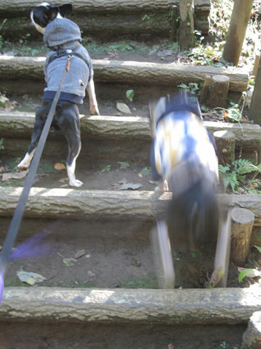 20091103_nanasawa10.jpg