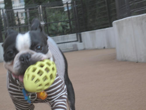20091031_run02.jpg