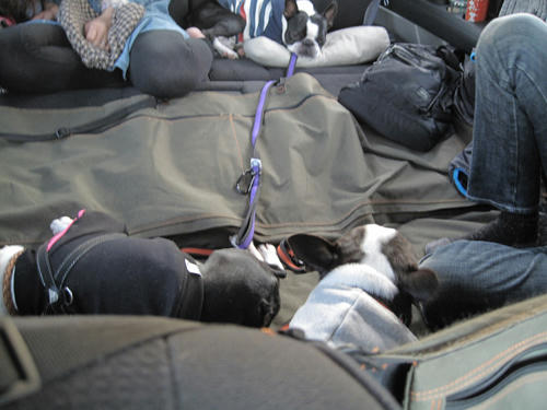 20091107_nanasawa01.jpg