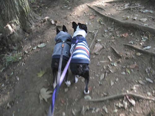 20091107_nanasawa07.jpg
