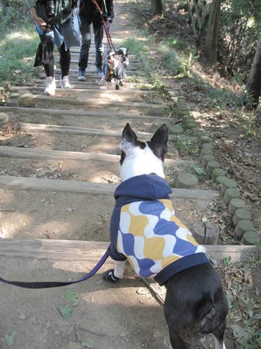 20091107_nanasawa09.jpg