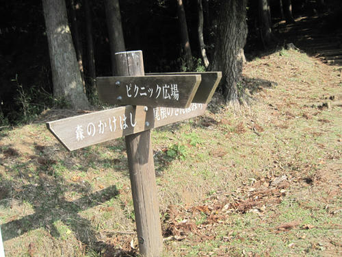 20091107_nanasawa10.jpg