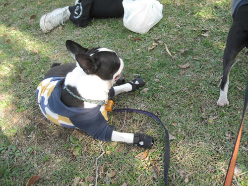 20091107_nanasawa13.jpg