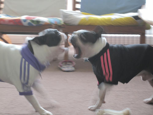20091114_rokushio01.jpg