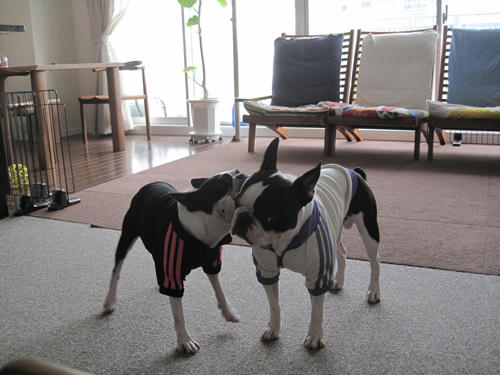 20091114_rokushio04.jpg