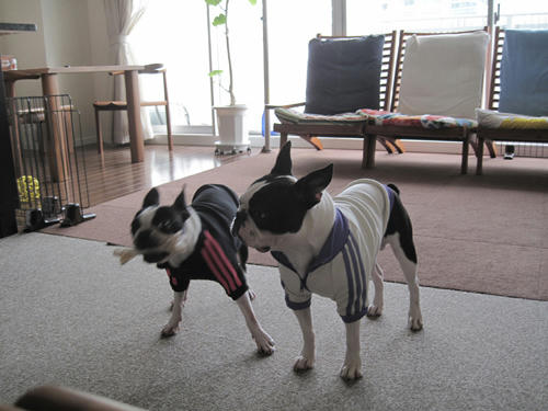 20091114_rokushio05.jpg