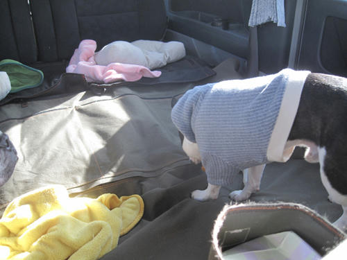 20091122_niigata01.jpg