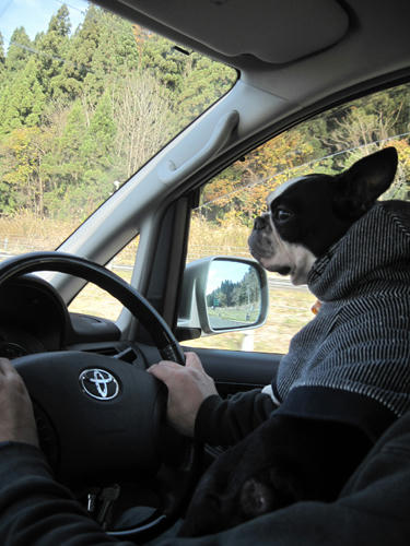 20091122_niigata03.jpg