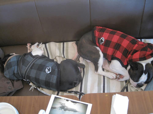 20091128_decocafe01.jpg