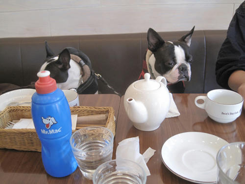 20091128_decocafe02.jpg
