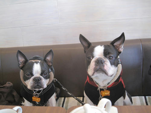 20091128_decocafe03.jpg