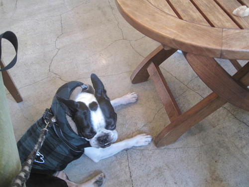 20091128_decocafe05.jpg