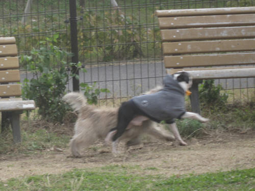 20091205_jonanjima02.jpg