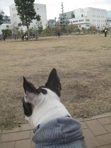 20091205_jonanjima05.jpg