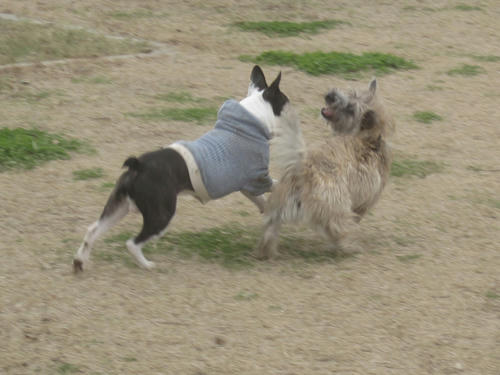 20091205_jonanjima06.jpg