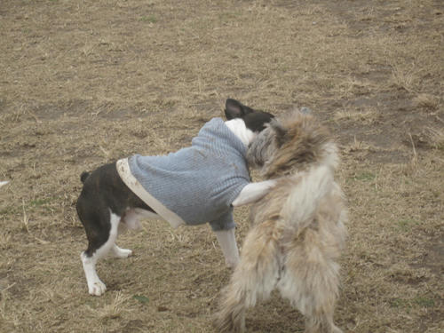 20091205_jonanjima08.jpg