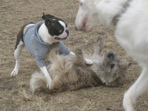 20091205_jonanjima09.jpg