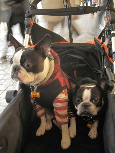 20091205_sanooutlet04.jpg