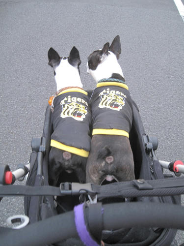 20091229_hear01.jpg