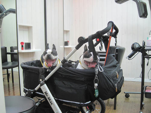 20091229_hear02.jpg