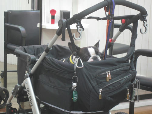 20091229_hear03.jpg