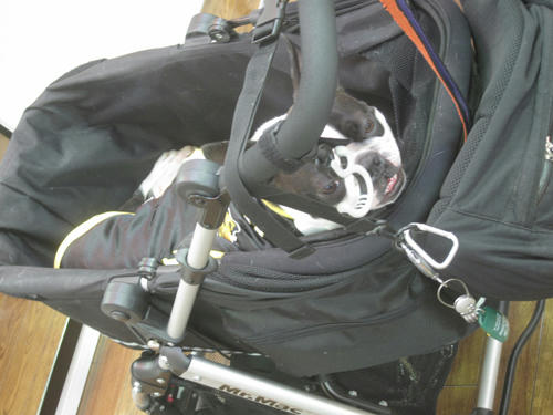 20091229_hear04.jpg