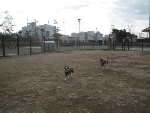 20091229_jonanjima01.jpg
